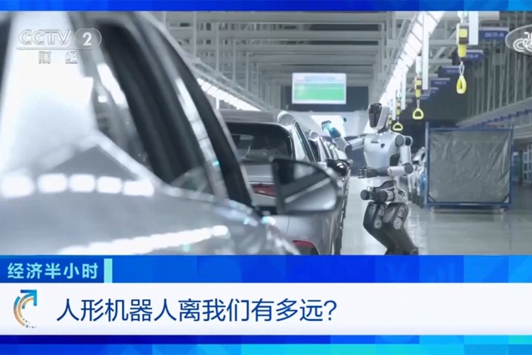 中央电视台《经济半小时》栏目对BB贝博机器人的专题报道